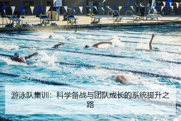 游泳队集训：科学备战与团队成长的系统提升之路