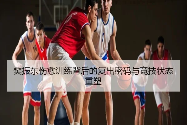 樊振东伤愈训练背后的复出密码与竞技状态重塑