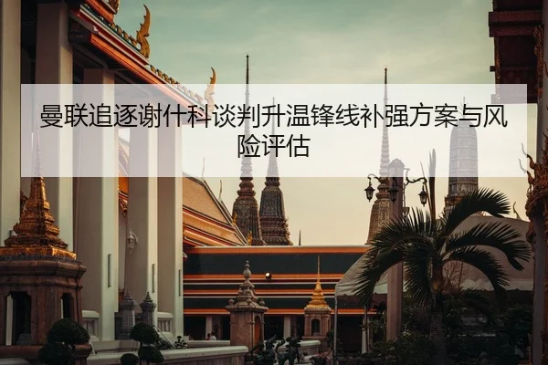 曼联追逐谢什科谈判升温锋线补强方案与风险评估